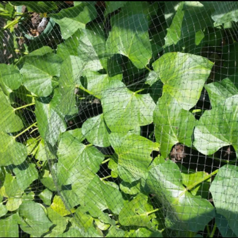 HU TANG QIAO Anti Bird Netting For Garden Fencing Durable