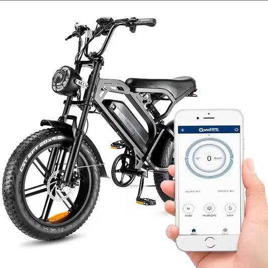OEM Fatbike V20 Pro Electric Bike 48V 15Ah Battery Nederland