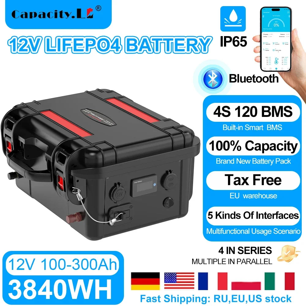 Capacity 12V LiFePO4 Battery 100Ah FS100