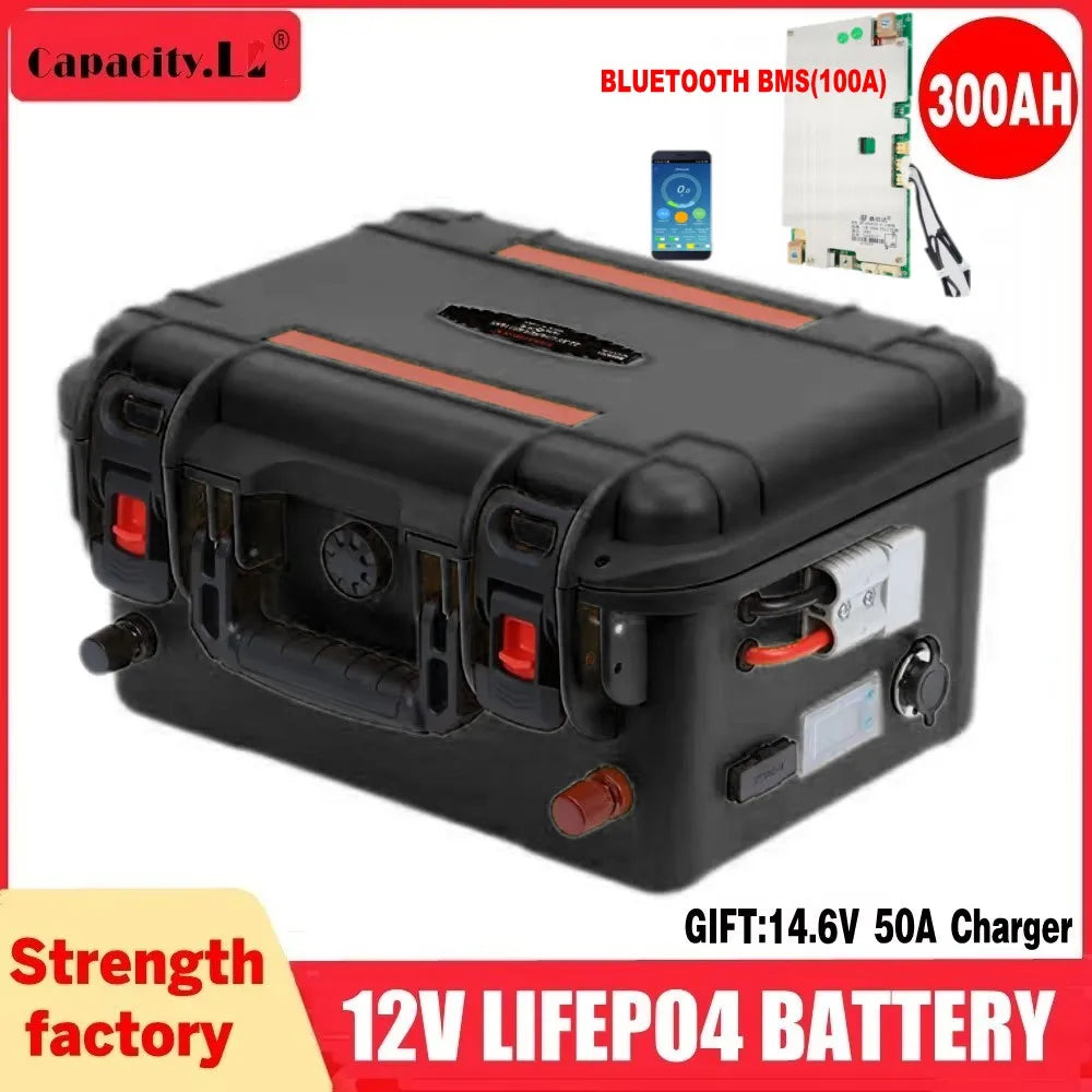 Capacity 12V LiFePO4 Battery 100Ah FS100