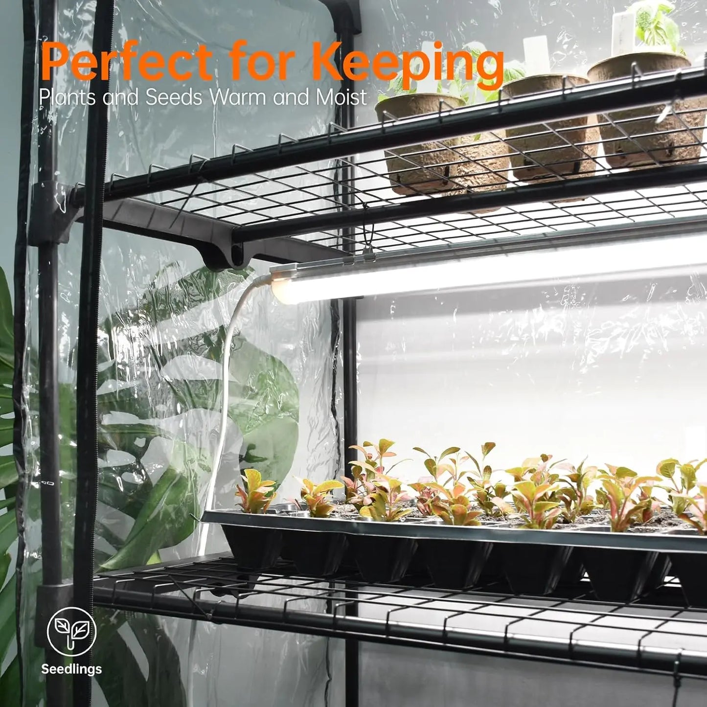 XMSJ Indoor Greenhouse With Grow Light And Timer System