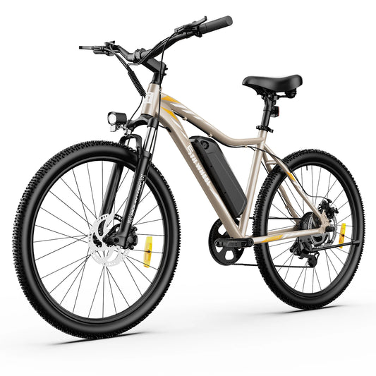 5TH WHEEL AB17 Electric Bike With 700W Peak Motor